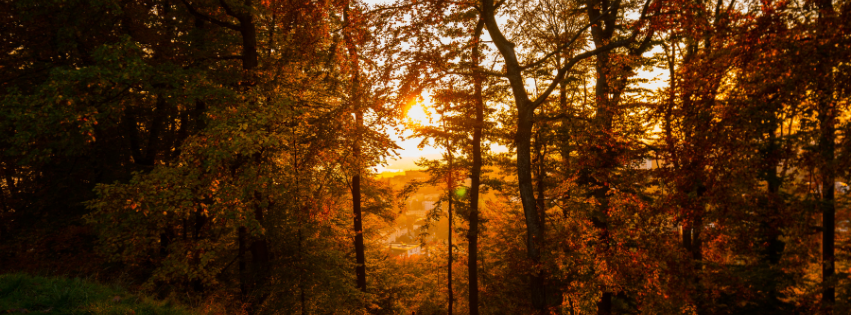 Fall In Ripley - Allure Air Brush And Aesthetics Fall In Ripley